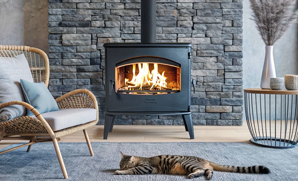 promotion poele fonte flamme